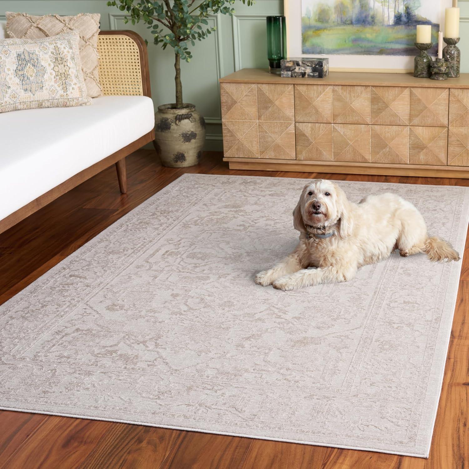 image:imageSAFAVIEH Area Rug 8x10 Reflection Collection Large Light Grey amp Cream NonShedding amp Easy Cleaning Ideal for Living Room Bedroom Dining Space RFT665CCremeIvory