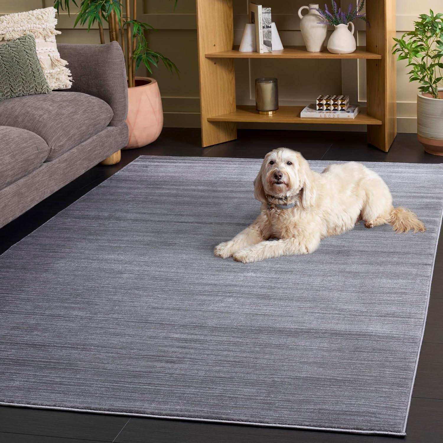 image:imageSAFAVIEH Area Rug 8x10 Vision Collection Large Ivory Modern Ombre Design NonShedding amp Easy to Clean Ideal for Living Room Bedroom Dining Space VSN606JSilver