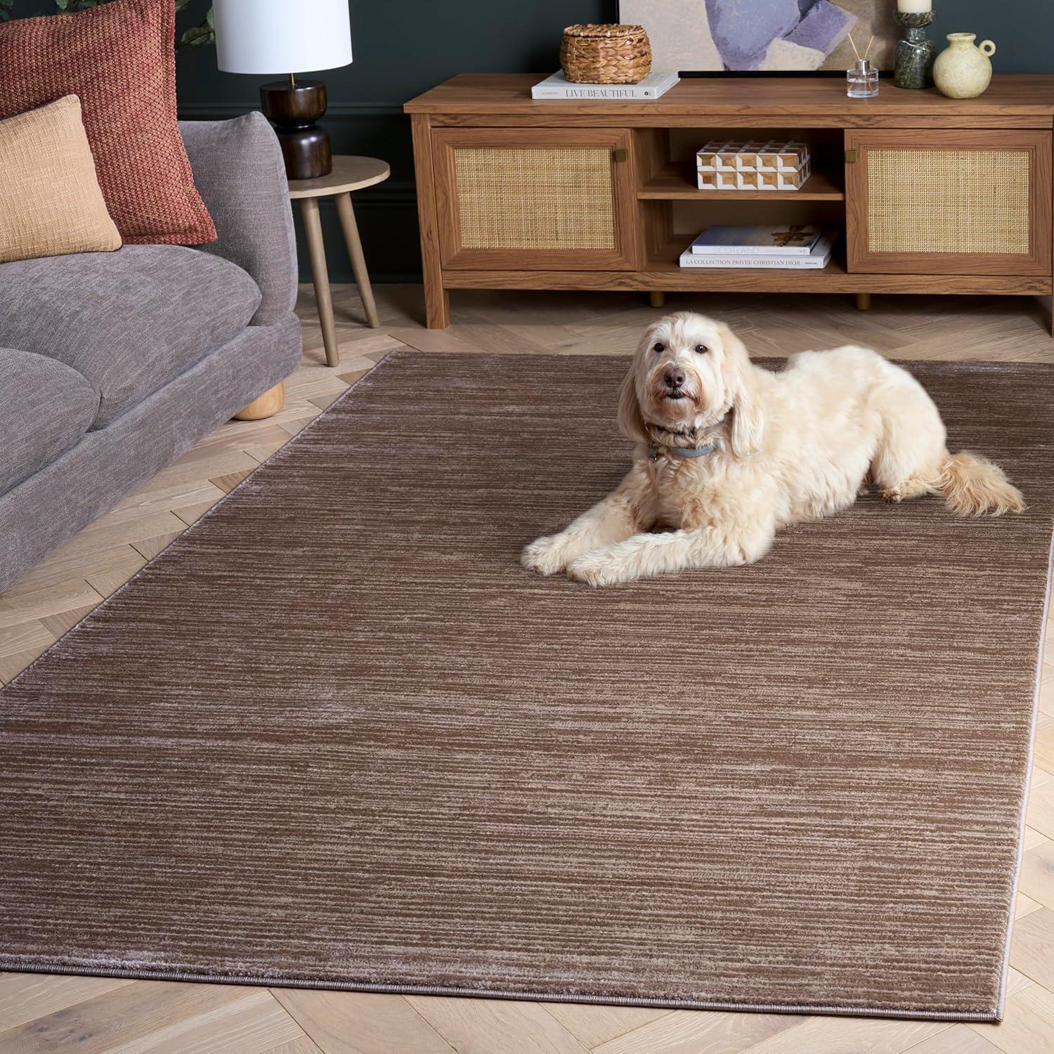 image:imageSAFAVIEH Area Rug 8x10 Vision Collection Large Ivory Modern Ombre Design NonShedding amp Easy to Clean Ideal for Living Room Bedroom Dining Space VSN606JLight Brown