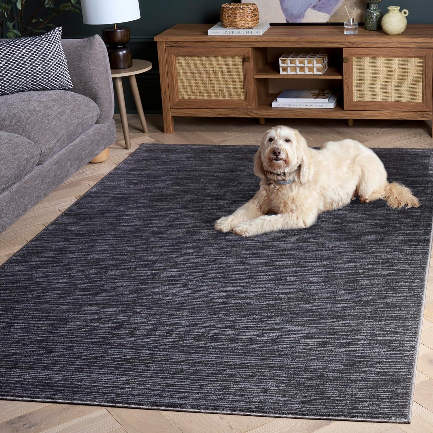 image:imageSAFAVIEH Area Rug 8x10 Vision Collection Large Ivory Modern Ombre Design NonShedding amp Easy to Clean Ideal for Living Room Bedroom Dining Space VSN606JGrey
