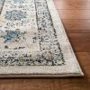SAFAVIEH Area Rug 8×10 – Evoke Collection – Large – Ivory & Blue, Shabby Chic Oriental Medallion Design, Non-Shedding & Easy to Clean, Ideal for Living Room, Bedroom, Dining Space (EVK220C)(Grey/Gold)