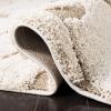 SAFAVIEH Area Rug 8×10 – Florida Shag Collection – Large – Cream & Blue, Scroll Design, Non-Shedding & Easy to Clean, High-Low Plush Pile, Ideal for Living Room, Bedroom, Dining Space (SG455-1165)(Cream/Beige)