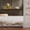 SAFAVIEH Area Rug 8×10 – Florida Shag Collection – Large – Grey & Grey, Non-Shedding & Easy Cleaning, Plush Thick Pile, Ideal for Living Room, Bedroom, Dining Space (SG471080)(Cream/Beige)