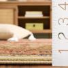 SAFAVIEH Lyndhurst Collection Area Rug – 8′ x 11′, Ivory & Red, Traditional Oriental Design, Non-Shedding & Easy Care, Ideal for High Traffic Areas in Living Room, Bedroom (LNH330A)(Ivory/Rust)