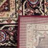 SAFAVIEH Lyndhurst Collection Area Rug – 8′ x 11′, Ivory & Red, Traditional Oriental Design, Non-Shedding & Easy Care, Ideal for High Traffic Areas in Living Room, Bedroom (LNH330A)(Red / Black)