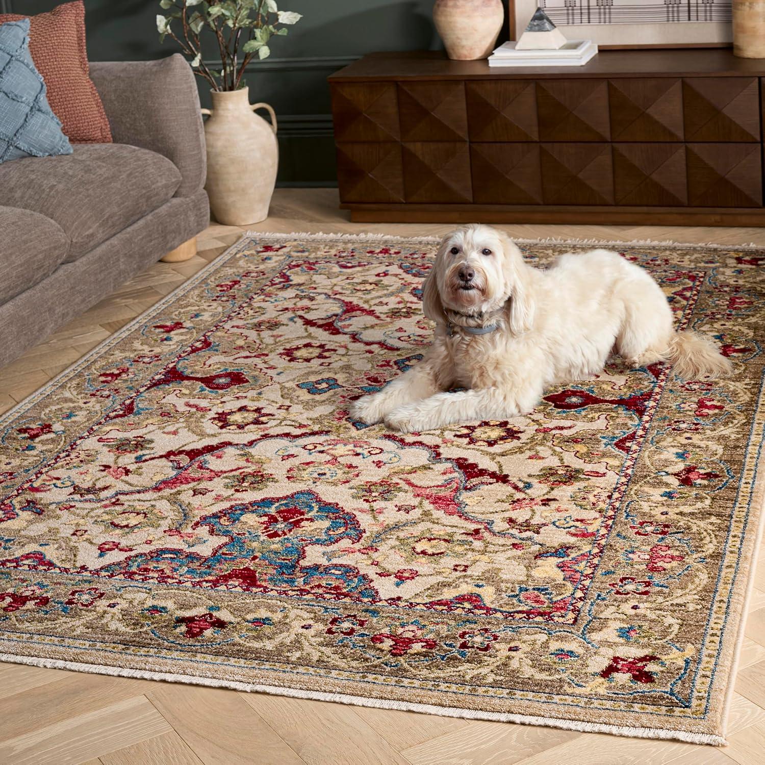 image:imageSAFAVIEH Area Rug 8x10 Kashan Collection Large Ivory amp Taupe Traditional Oriental Design NonShedding amp Easy Cleaning Ideal for Living Room Bedroom Office Dining Space KSN307AIvoryTaupe