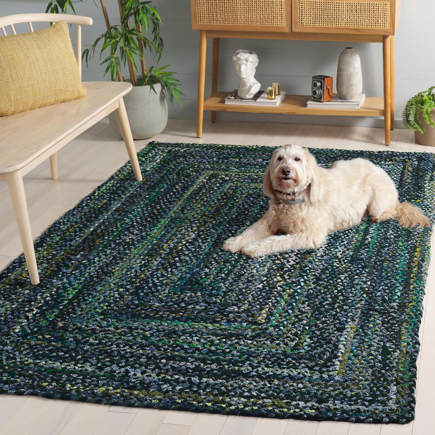 image:imageSAFAVIEH Braided Collection Accent Rug 3 x 5 Red amp Multi Handmade Woven Cotton Boho Reversible Style Ideal for Living Room Bedroom BRD210ADark GreenBlue