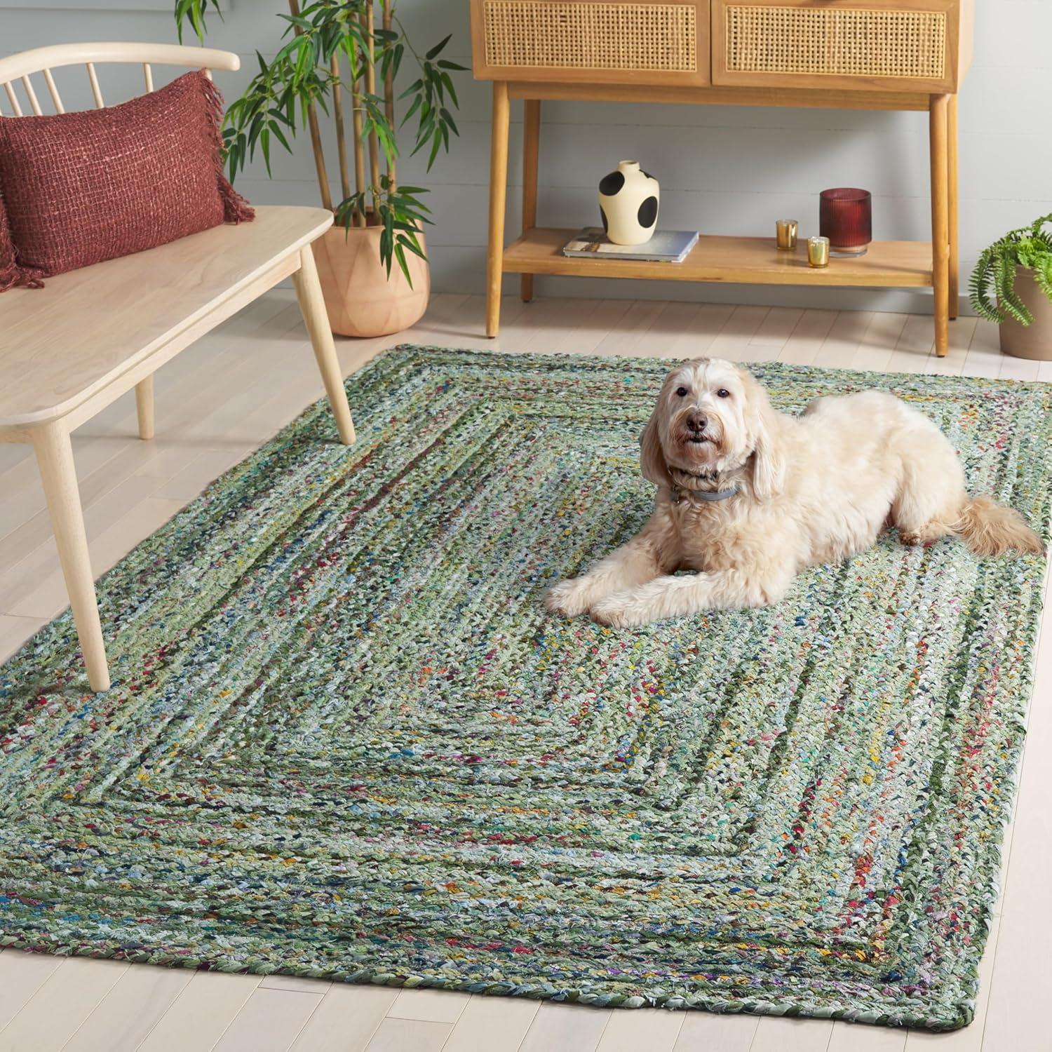 image:imageSAFAVIEH Braided Collection Accent Rug 3 x 5 Red amp Multi Handmade Woven Cotton Boho Reversible Style Ideal for Living Room Bedroom BRD210ALight GreenSage