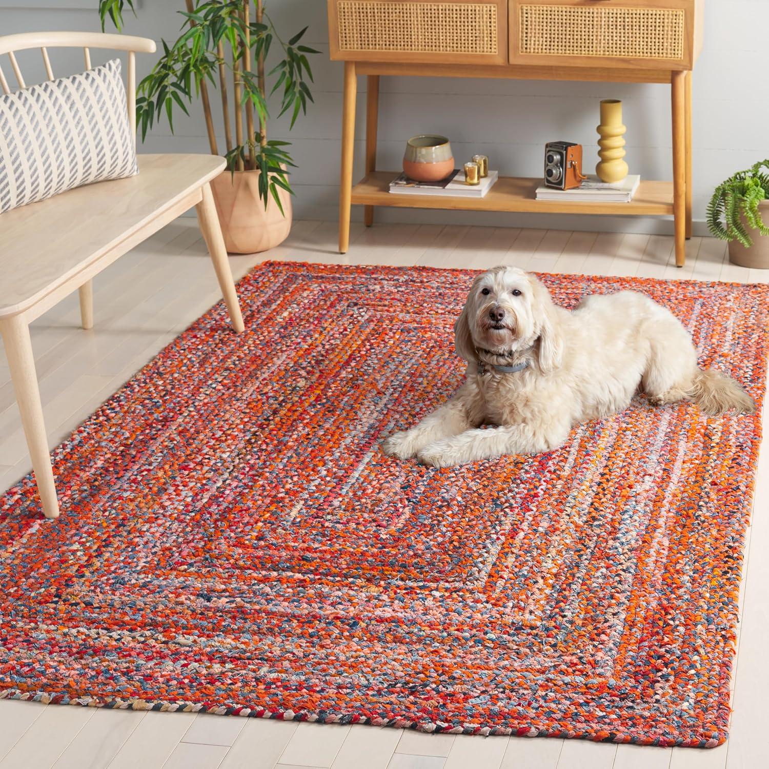 image:imageSAFAVIEH Braided Collection Accent Rug 3 x 5 Red amp Multi Handmade Woven Cotton Boho Reversible Style Ideal for Living Room Bedroom BRD210AOrangeRust
