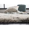 SAFAVIEH Hudson Shag Collection Area Rug – 5’3″ x 7’6″, Grey & Ivory, Moroccan Trellis Design, Non-Shedding & Easy Care, 2-inch Thick Ideal for High Traffic Areas in Living Room, Bedroom (SGH282B)(Ivory/Grey)