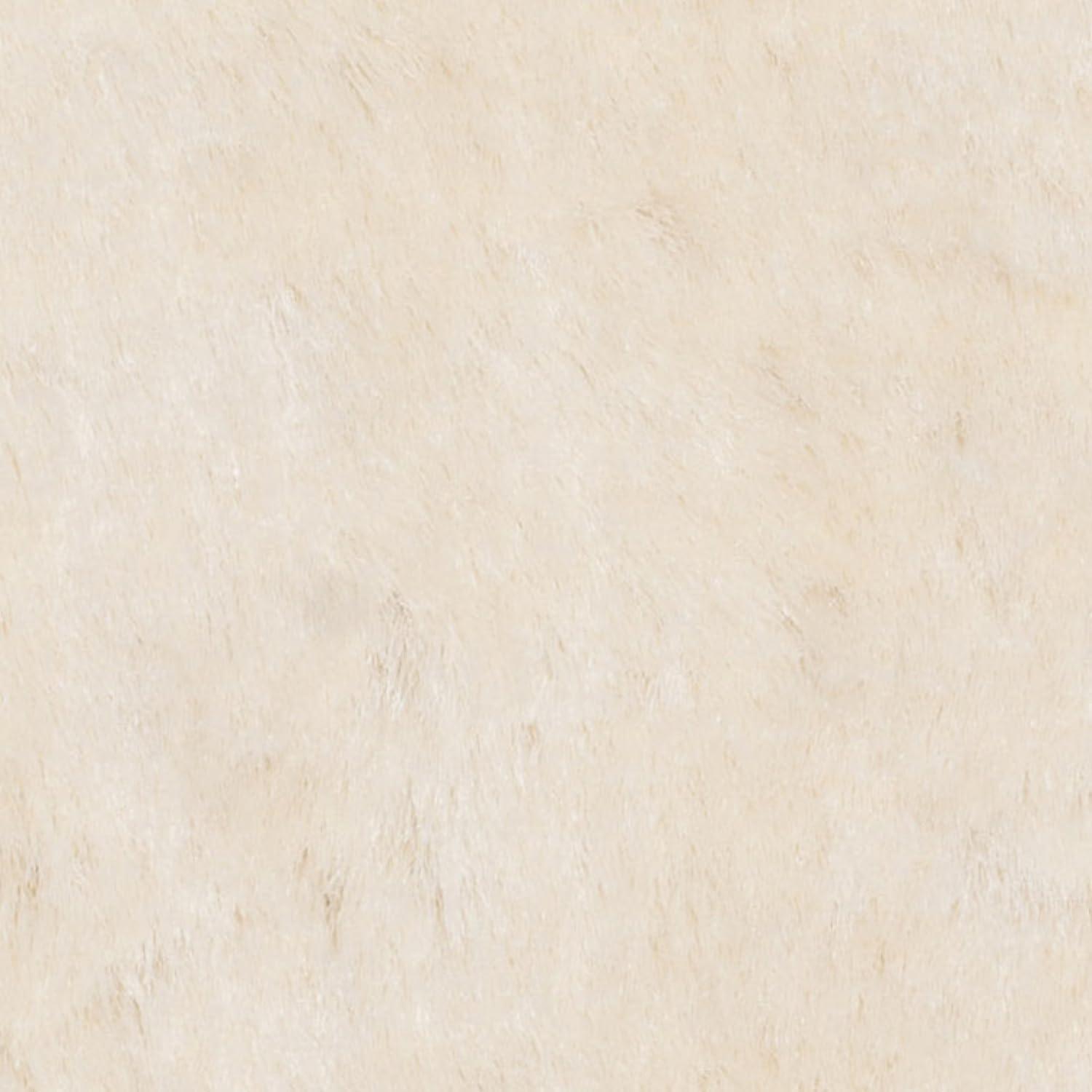 image:imageSAFAVIEH Area Rug 4x6 Paris Shag Collection Sage Handmade Soft Flowing Pile Ideal for Ideal for Hallway Foyer Entryway Bedroom SG5111003Ivory