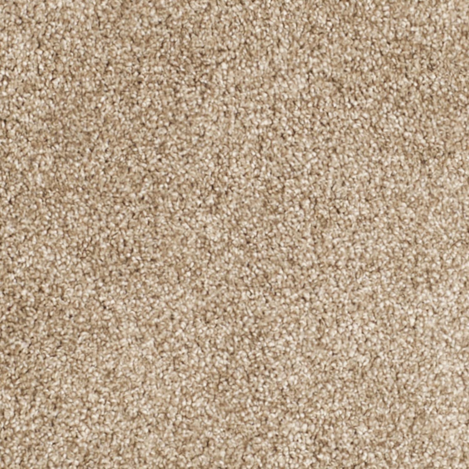 image:imageSAFAVIEH Florida Shag Collection Area Rug 53 x 76 Creme amp Creme Border Design NonShedding amp Easy Care 12inch Thick Ideal for High Traffic Areas in Living Room Bedroom SG4541111Beige