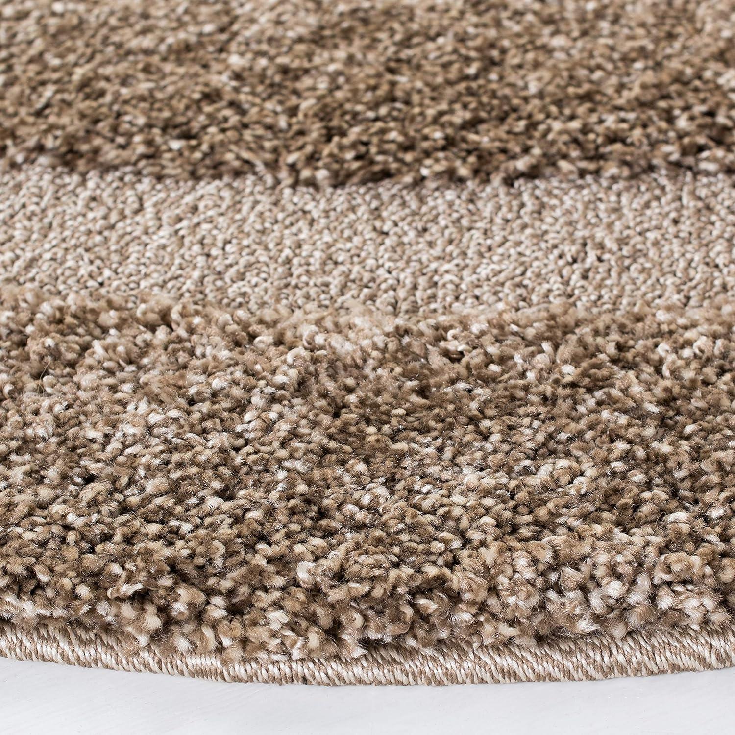 image:imageSAFAVIEH Florida Shag Collection Area Rug 53 x 76 Creme amp Creme Border Design NonShedding amp Easy Care 12inch Thick Ideal for High Traffic Areas in Living Room Bedroom SG4541111Beige