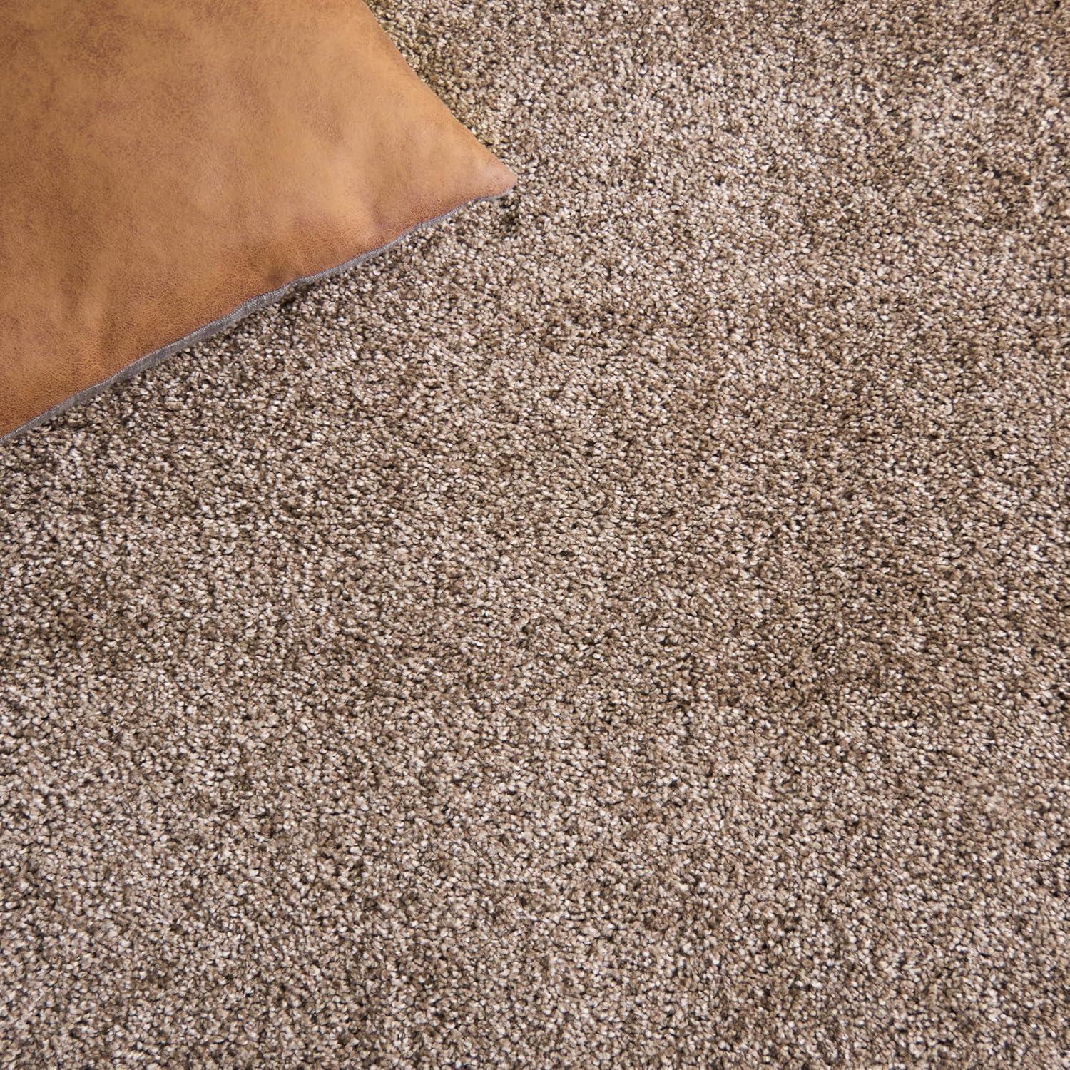 image:imageSAFAVIEH Florida Shag Collection Area Rug 53 x 76 Creme amp Creme Border Design NonShedding amp Easy Care 12inch Thick Ideal for High Traffic Areas in Living Room Bedroom SG4541111Beige