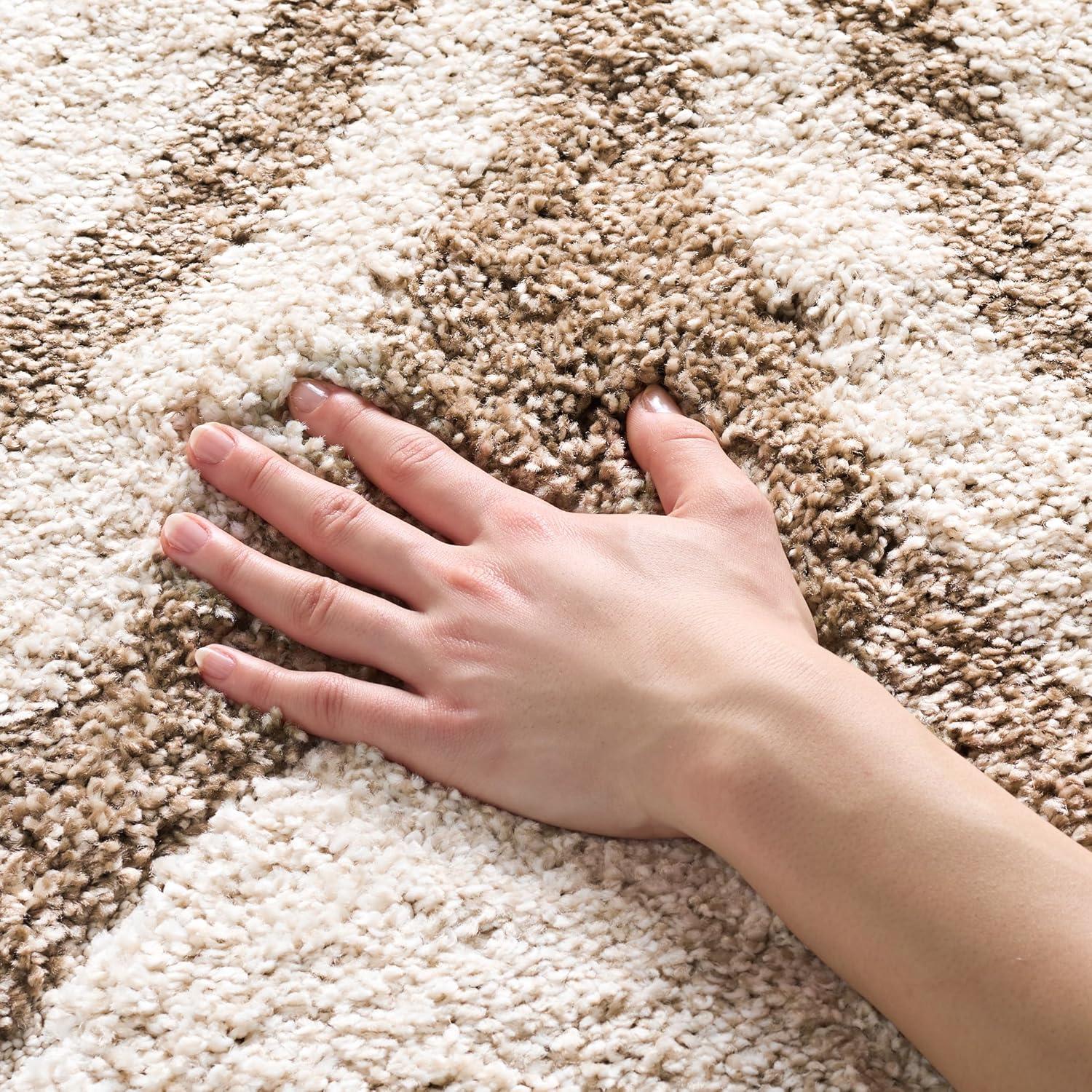 image:imageSAFAVIEH Florida Shag Collection Area Rug 86 x 12 Cream amp Smoke Modern Ogee Design NonShedding amp Easy Care 12inch Thick Ideal for High Traffic Areas in Living Room Bedroom SG4611179IvoryBeige