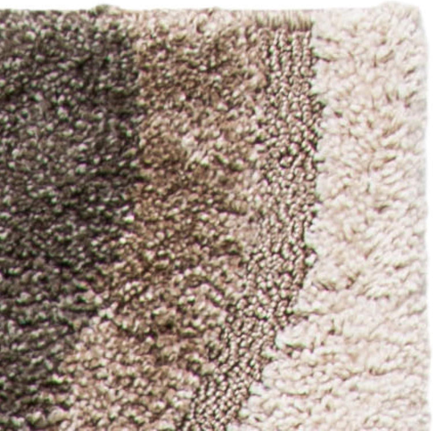 image:imageSAFAVIEH Florida Shag Collection Area Rug 86 x 12 Cream amp Smoke Modern Ogee Design NonShedding amp Easy Care 12inch Thick Ideal for High Traffic Areas in Living Room Bedroom SG4611179CreamSmoke