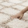 SAFAVIEH Dallas Shag Collection Area Rug – 5’1″ x 7’6″, Seafoam & Ivory, Trellis Design, Non-Shedding & Easy Care, 1.5-inch Thick Ideal for High Traffic Areas in Living Room, Bedroom (SGD258C)(Ivory/Beige)