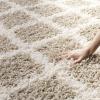 SAFAVIEH Dallas Shag Collection Area Rug – 5’1″ x 7’6″, Seafoam & Ivory, Trellis Design, Non-Shedding & Easy Care, 1.5-inch Thick Ideal for High Traffic Areas in Living Room, Bedroom (SGD258C)(Beige/Ivory)