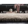 SAFAVIEH Hudson Shag Collection Area Rug – 5’3″ x 7’6″, Grey & Ivory, Moroccan Trellis Design, Non-Shedding & Easy Care, 2-inch Thick Ideal for High Traffic Areas in Living Room, Bedroom (SGH280B)(Beige/Ivory)