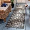 SAFAVIEH Washable Rug Outdoor Veranda Collection – 9′ x 12′, Ivory & Charcoal, Non-Shedding & Easy to Clean, Ideal for Patio, Backyard, Mudroom (VER099-3435)(Ivory/Charcoal)