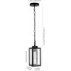 SAFAVIEH Lighting Collection Clemens Black Outdoor Pendant