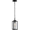 SAFAVIEH Lighting Collection Clemens Black Outdoor Pendant