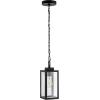 SAFAVIEH Lighting Collection Clemens Black Outdoor Pendant