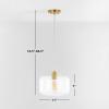 SAFAVIEH Lighting Collection Warden Contemporary Gold/Clear 11-inch Pendant
