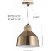 Safavieh PND4031A Home Collection Dajana Nickel Brown Pendant Light(Gold)