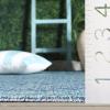SAFAVIEH Courtyard Collection 8′ x 10′ Beige/Brown CY8734 Indoor-Outdoor Patio Backyard Mudroom Area-Rug(Navy/Aqua)