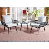 SAFAVIEH Outdoor Collection Londyn Grey 3-Piece Patio Conversation Set(Black/Grey)