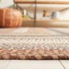 SAFAVIEH Washable Rug Outdoor Braided Collection – 8′ x 10′, Brown & Multi, Handmade & Reversible, Non-Shedding & Easy to Clean, Ideal for Patio, Backyard, Mudroom (BRD313A)(Brown/Multi)