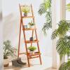 Safavieh Outdoor Collection Grenton Natural Brown 4-Tier Shelf
