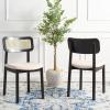 SAFAVIEH Home Collection Egon Coastal Black/Natural Dining Chair Set of 2(Black/White)