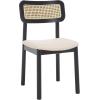 SAFAVIEH Home Collection Egon Coastal Black/Natural Dining Chair Set of 2(Black/White)