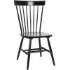 SAFAVIEH Home Collection Parker Farmhouse Raspberry Windsor Spindle Solid Wood Dining Chair Set of 2(Black)