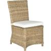SAFAVIEH Home Collection Sebesi Soft Grey Rattan Side Chair with Cushion (Set of 2)