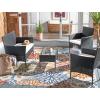 SAFAVIEH Outdoor Collection Abdul Natural/White Cushion 4-Piece Conversation Patio Set PAT7504D(Black/Beige)