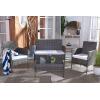 SAFAVIEH Outdoor Collection Abdul Natural/White Cushion 4-Piece Conversation Patio Set PAT7504D(Grey Brown/White)