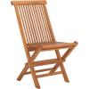 SAFAVIEH Outdoor Collection Holly Natural Solid Wood Teak Folding Chair (Fully Assembled)