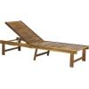 SAFAVIEH Outdoor Collection Inglewood Natural Solid Wood/Navy Cushion Adjustable Chaise Lounge Chair (PAT6723B)(Natural / Navy)