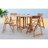 SAFAVIEH Outdoor Collection Kerman Grey Wash 5-Piece Foldable Patio Dining Set (Fully Assembled)(Natural)