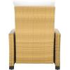 SAFAVIEH Outdoor Collection Landon Natural/White Patio Recliner Chair with Cushion(Natural/White)