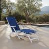 SAFAVIEH Outdoor Collection Palmdale Grey Solid Wood/Navy Cushion Chaise Lounge Chair (PAT7015B)(Grey/Navy)