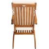 SAFAVIEH Outdoor Collection Palmdale Grey Solid Wood/Navy Cushion Chaise Lounge Chair (PAT7015B)(Natural/Beige Thin Stripe)