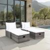 SAFAVIEH Outdoor Collection Pramla Grey Brown/White Cushion Settee with Storage Ottoman (Set of 2) PAT7515C(Grey Brown / White)