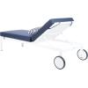 SAFAVIEH Outdoor Collection Yves Nautical Navy/White Adjustable Chaise Lounge Chair with Striped Pillow (PAT4042A)