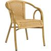 SAFAVIEH Outdoor Living Collection Dagny Wicker Arm Chairs(Natural)