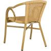 SAFAVIEH Outdoor Living Collection Dagny Wicker Arm Chairs(Natural)