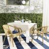 SAFAVIEH Outdoor Living Collection Dagny Wicker Arm Chairs(Natural)